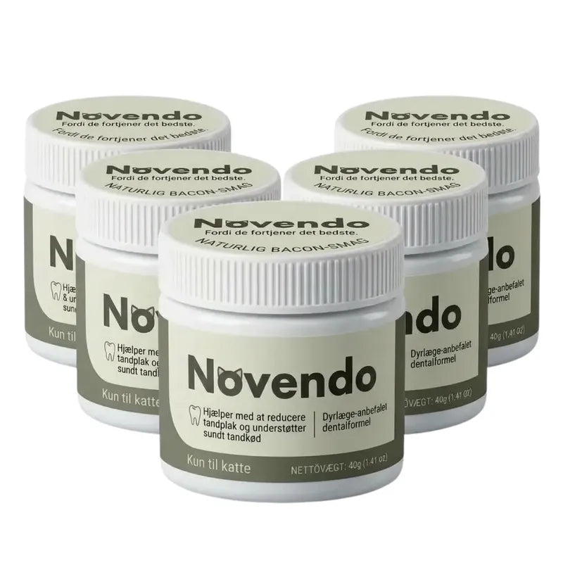Novendo