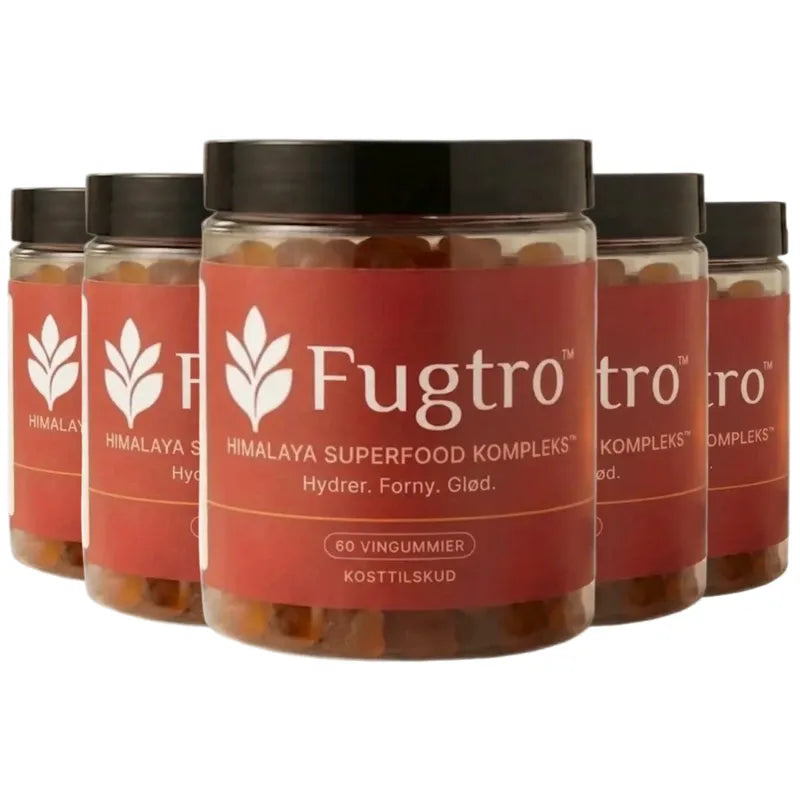 Fugtro