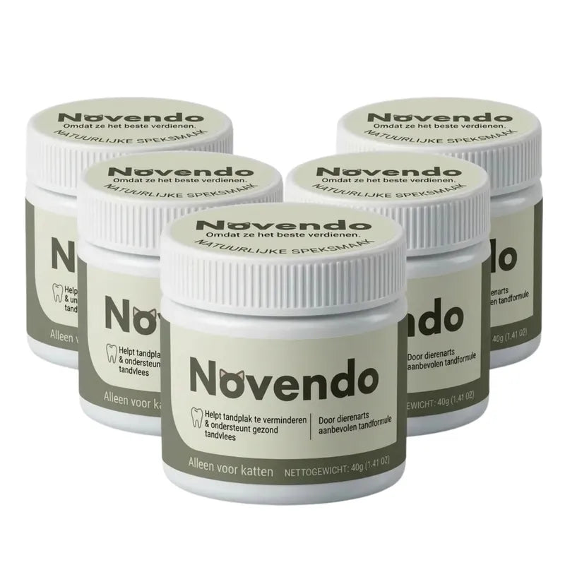 Novendo
