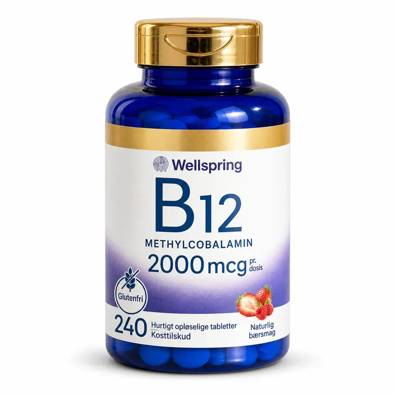 Wellspring Journal B12 Solution