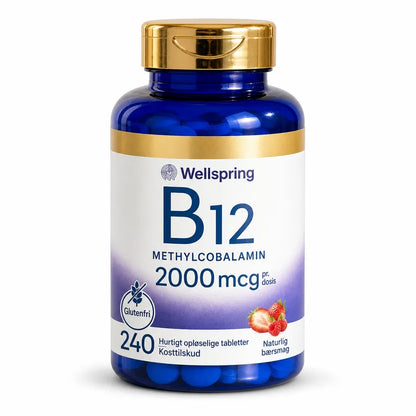 Wellspring Journal B12 Solution