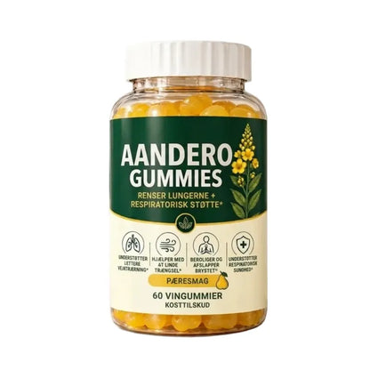 Aandero