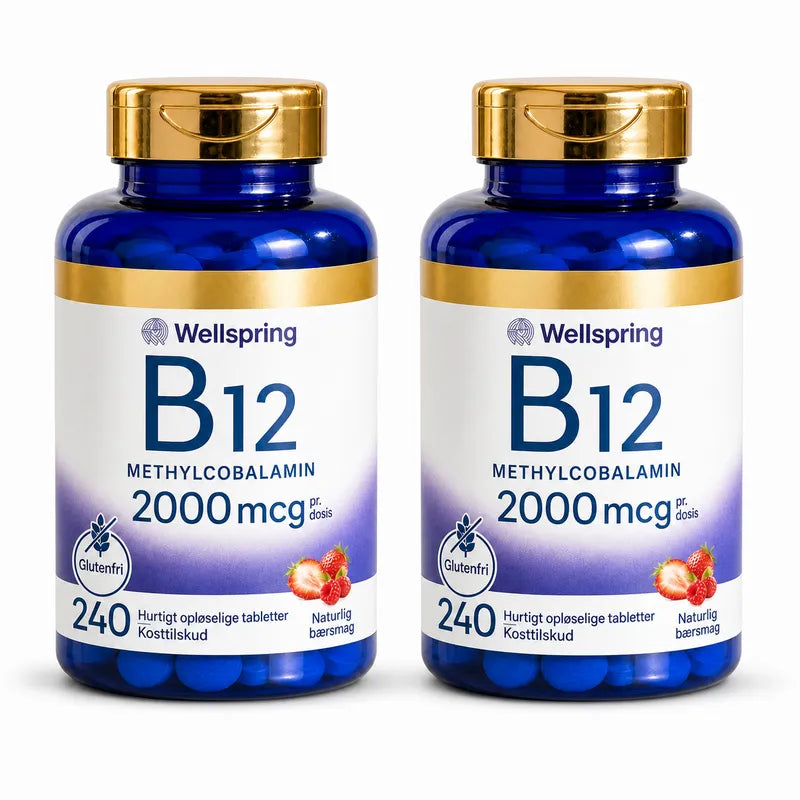 Wellspring Journal B12 Solution