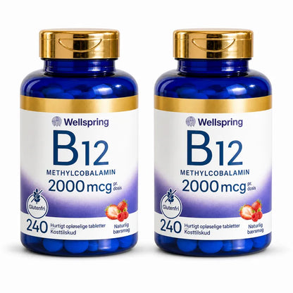 Wellspring Journal B12 Solution