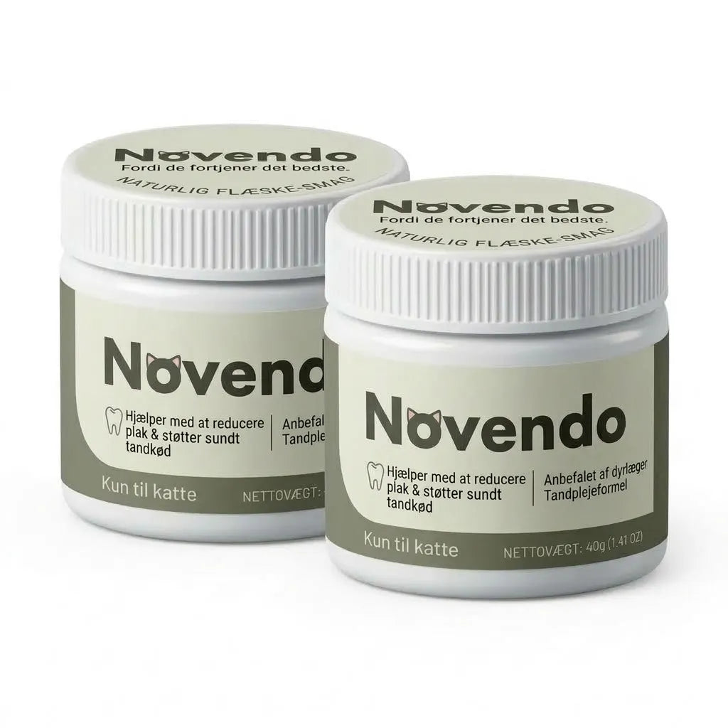 Novendo