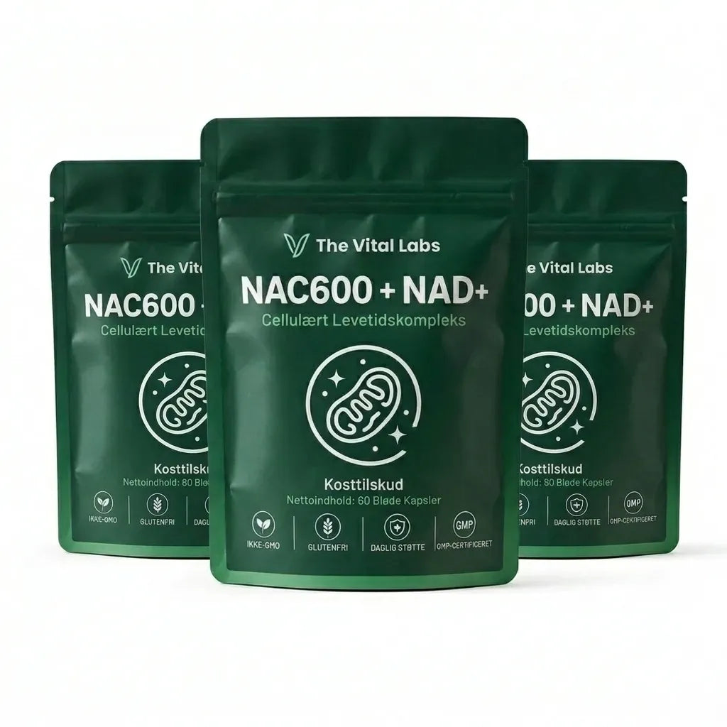 The Vital Labs NAC600 + NAD+