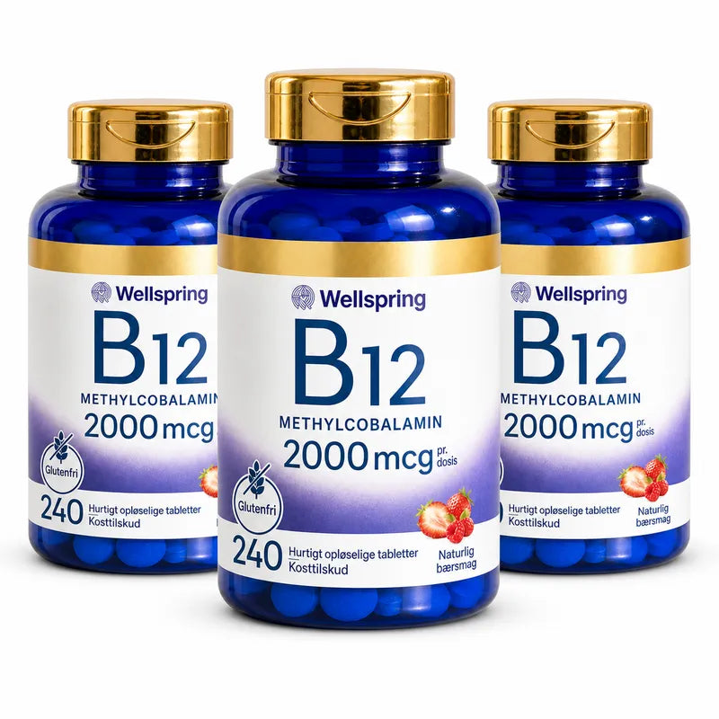 Wellspring Journal B12 Solution