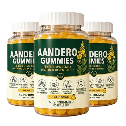 Aandero
