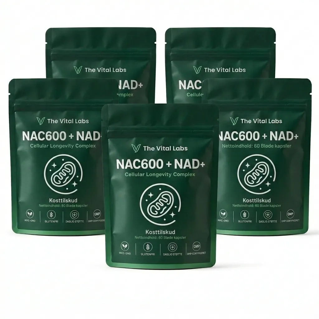 The Vital Labs NAC600 + NAD+