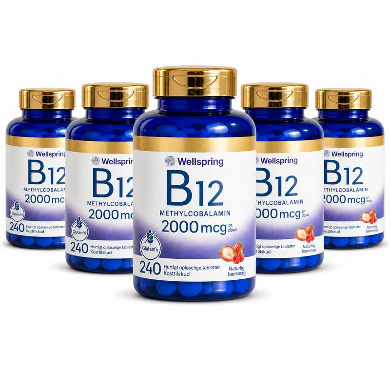 Wellspring Journal B12 Solution