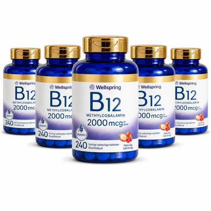 Wellspring Journal B12 Solution