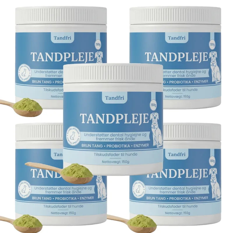 Tandfri