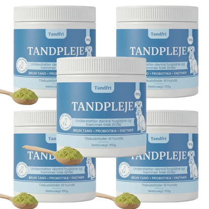 Tandfri