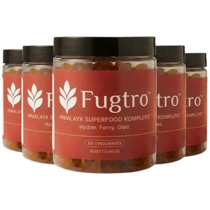 Fugtro