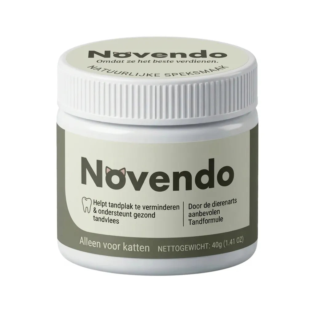 Novendo
