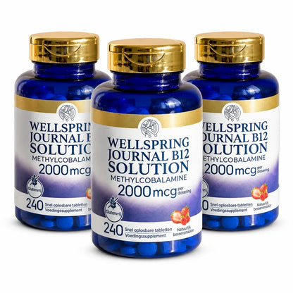 Wellspring Journal B12 Solution