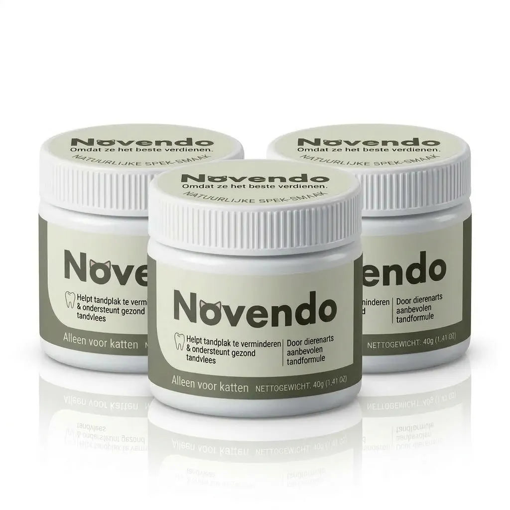 Novendo