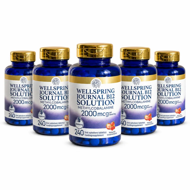 Wellspring Journal B12 Solution